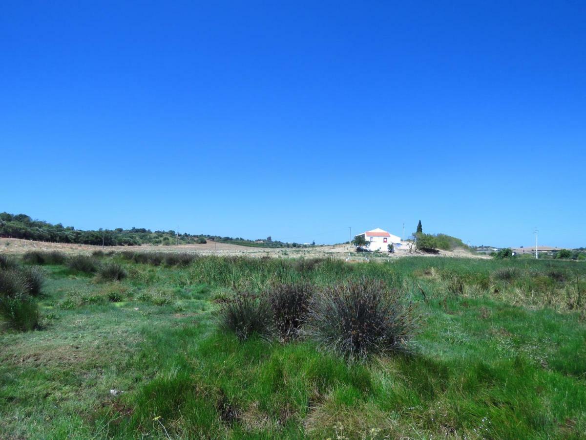 Vale Do Boto-quinta Com 3 Casas *